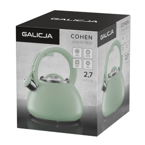 Czajnik nierdzewny COHEN 2,7l szałwiowy